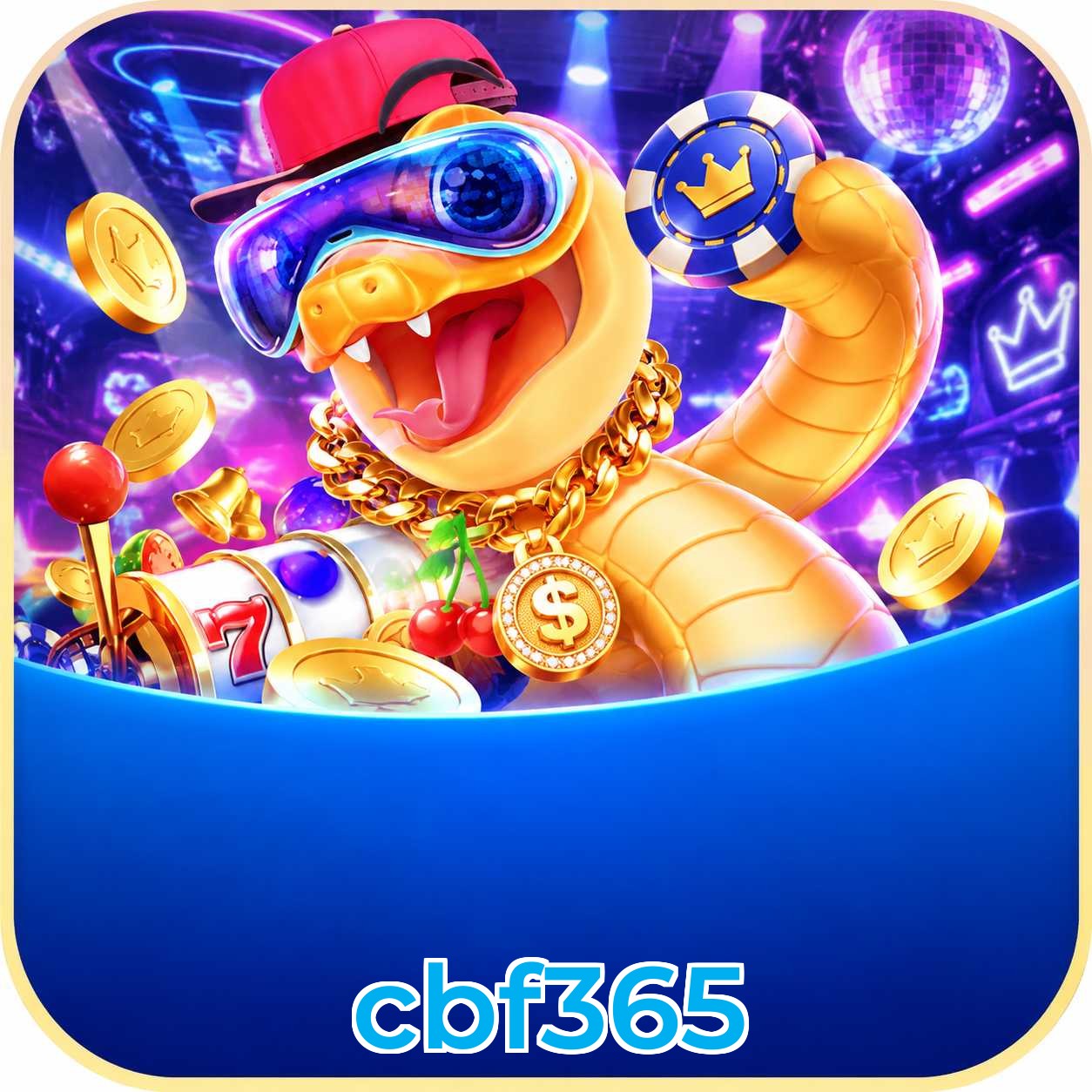 cbf365