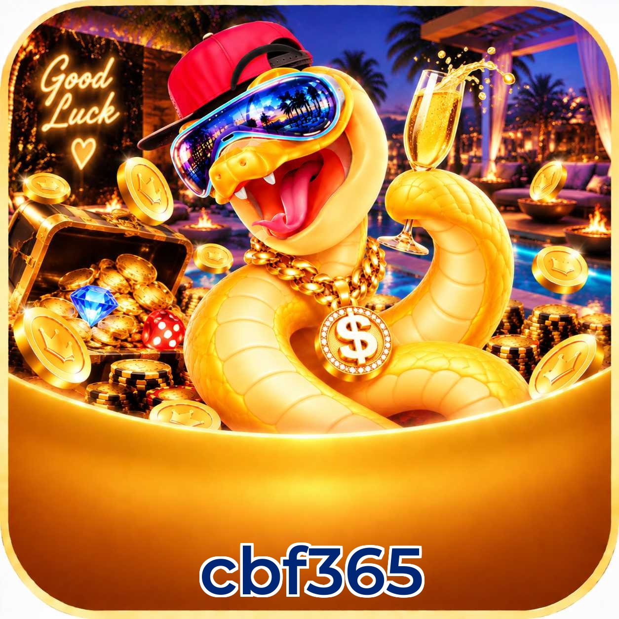 cbf365 Registration Guide