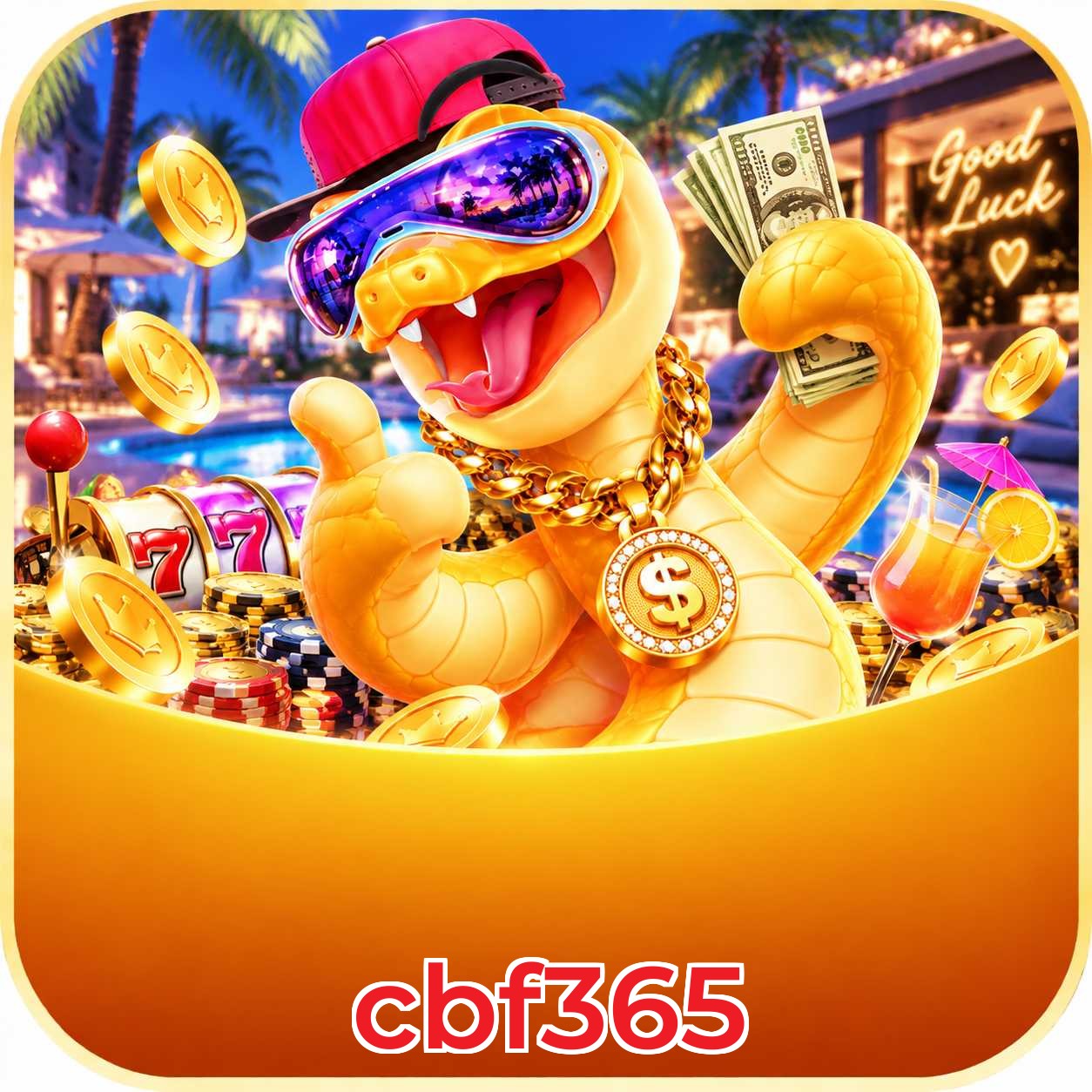 cbf365 System Requirements