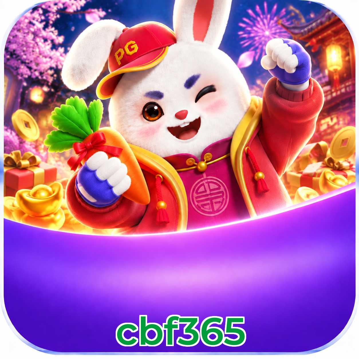 cbf365 Live Casino Overview