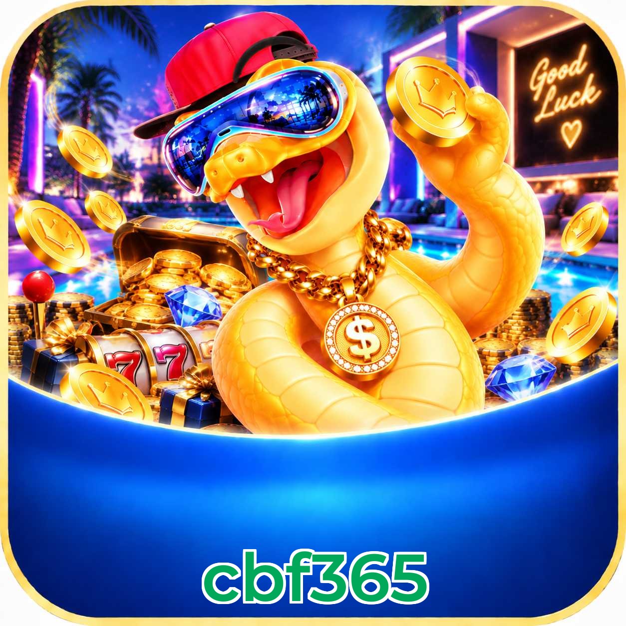 cbf365 Bet FAQ