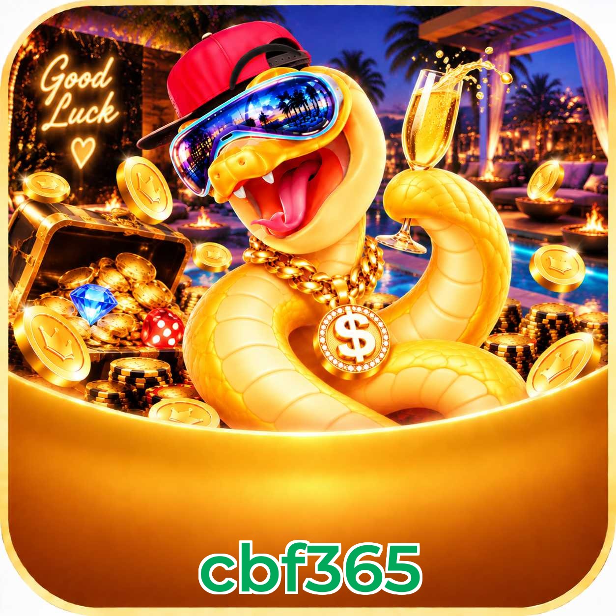 cbf365 VIP FAQ