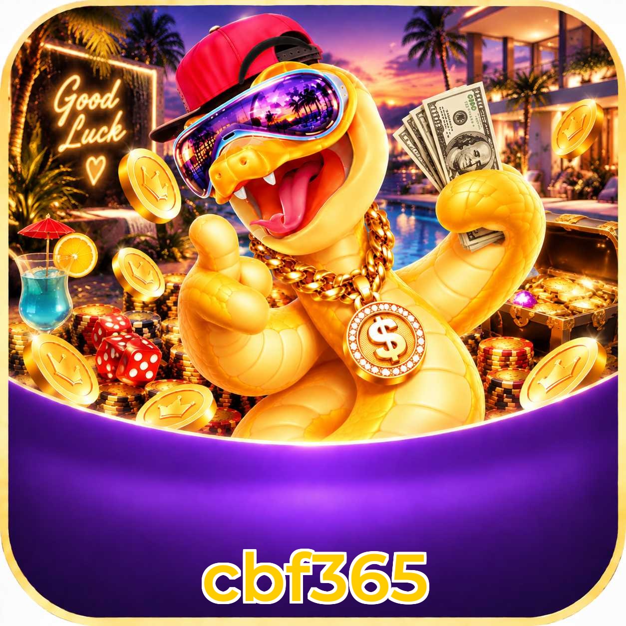 FAQ Baixar cbf365